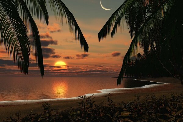 Coucher de soleil sur une île tropicale