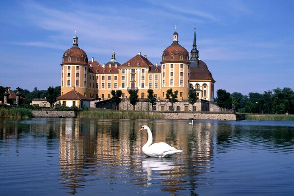 Pond with a white swan in front of the castle