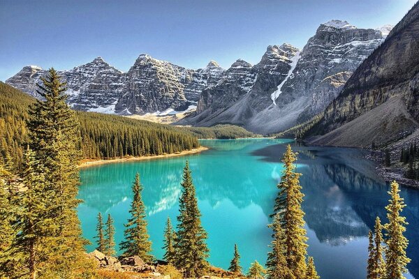 Mountain landscape. Forest. Water