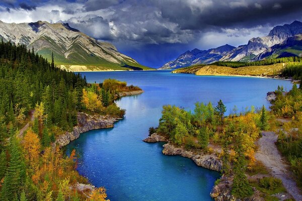 Hermosa naturaleza lago bosque