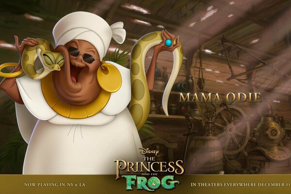 Personagem the princess and the frog dentro de casa