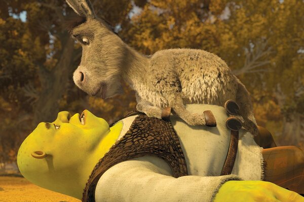 A moment from shrek with a donkey