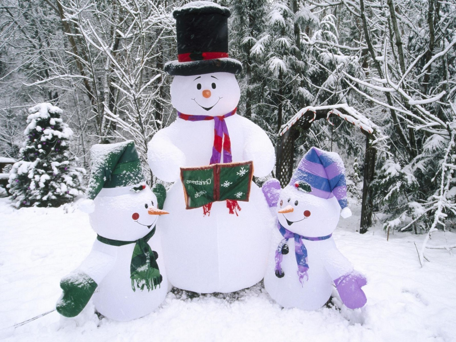 nuovo anno inverno neve pupazzo di neve natale freddo gelo palla di neve fiocco di neve stagione albero di ghiaccio slitta merry sciarpa di legno copertura slitta gelo neve-bianco