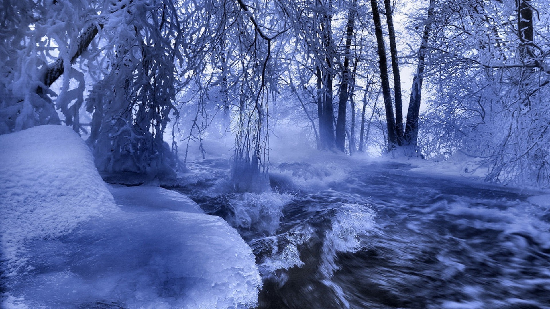 winter snow cold ice landscape frost frozen wood tree nature scenic frosty water season weather outdoors fair weather river park