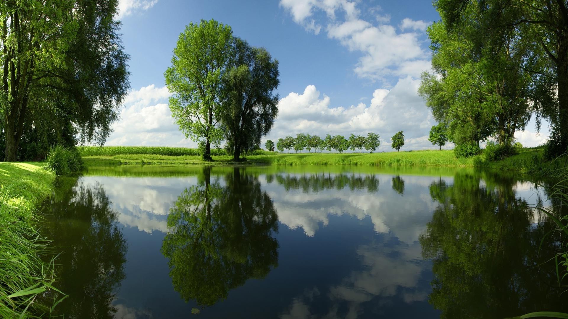 see wasser natur reflexion baum im freien landschaft sommer fluss holz schwimmbad gras blatt gelassenheit idylle des ländlichen gutes wetter himmel