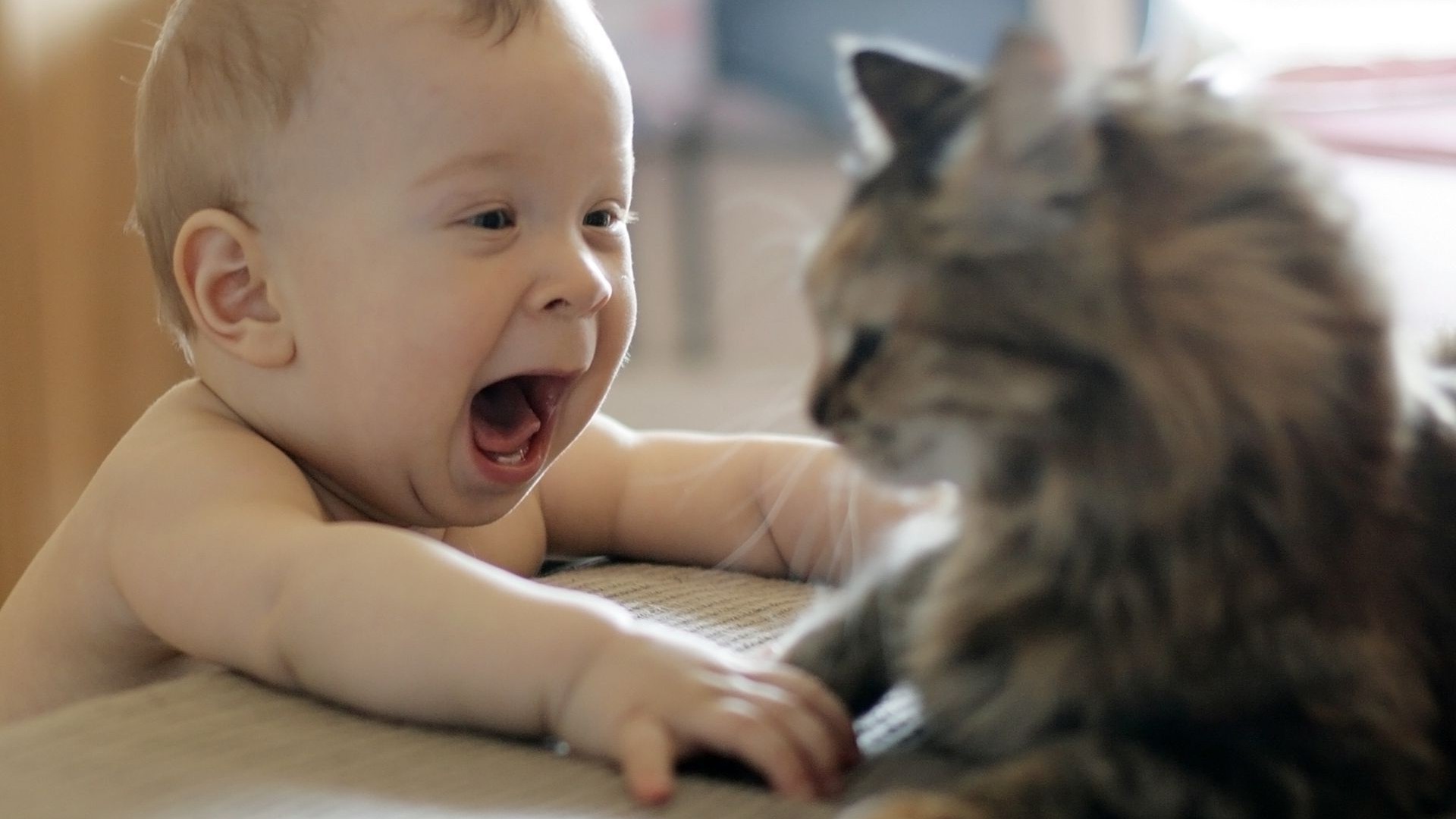 kinder mit tieren kind eins kind porträt gesichtsausdruck niedlich junge drinnen wenig katze säugetier mädchen zimmer unschärfe neugier unschuld jugend