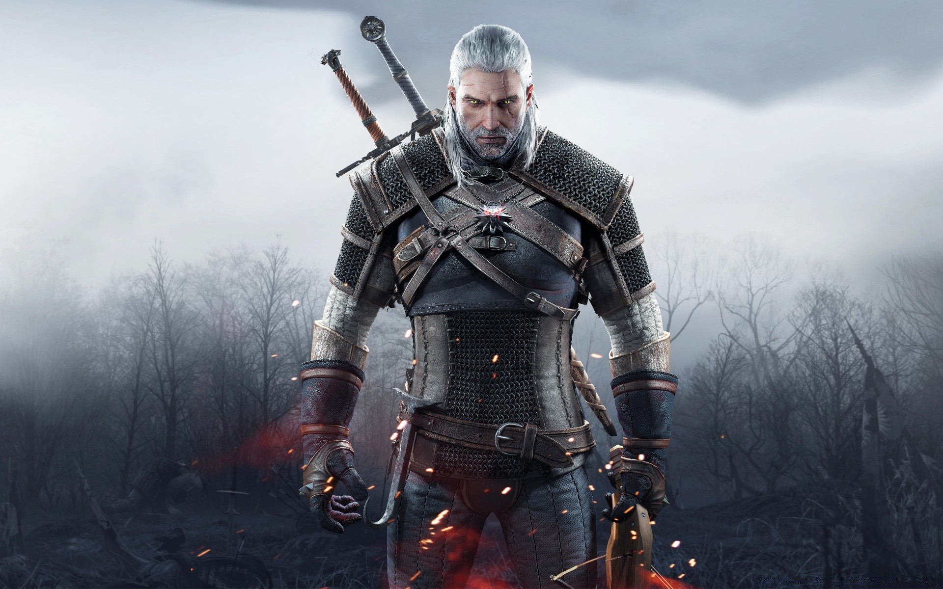 the witcher waffe krieg rüstung helm mann militär armee soldat erwachsener kampf ein ritter kampf pistole krieger