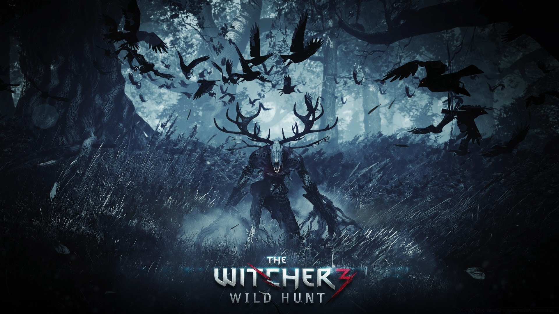 the witcher sott acqua scuro raccapricciante acqua orrore esplorazione luna natura all aperto