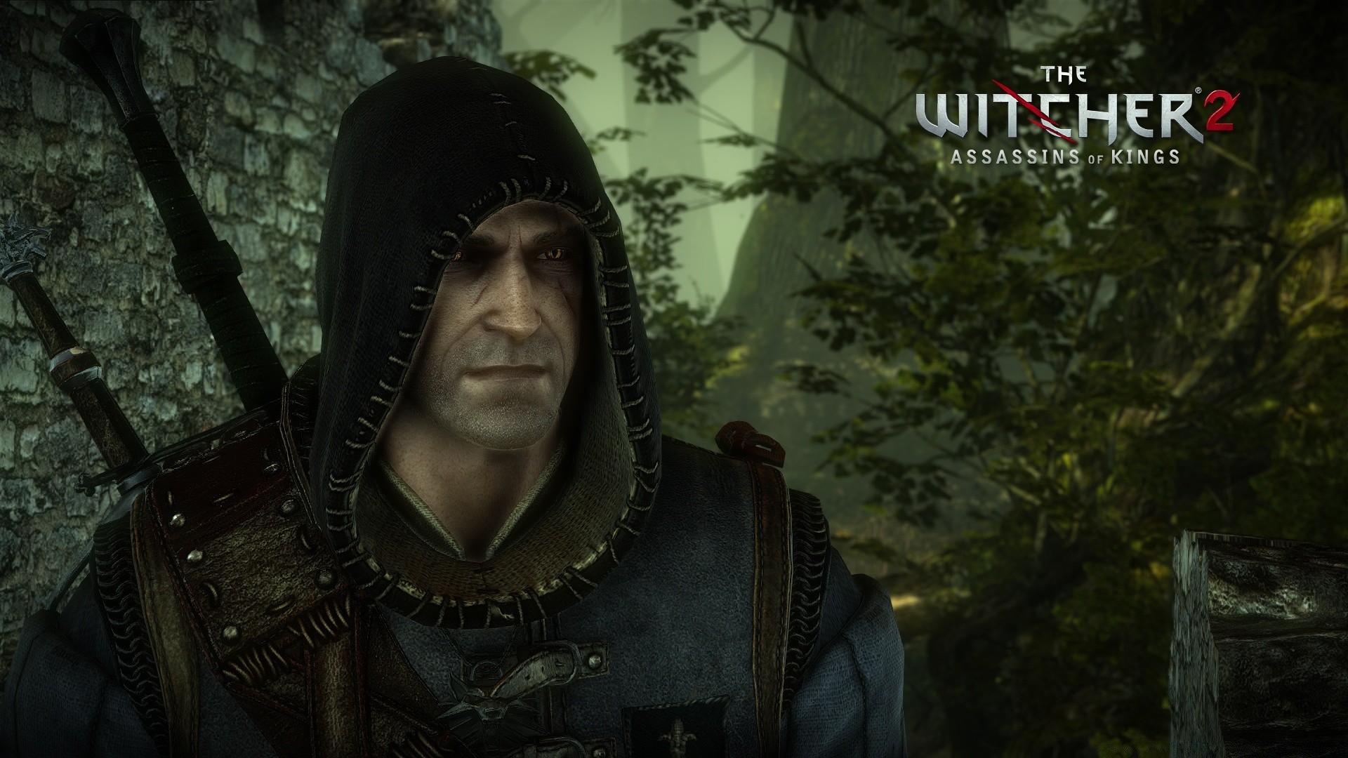 the witcher bir kadın yetişkin portre giyiyor