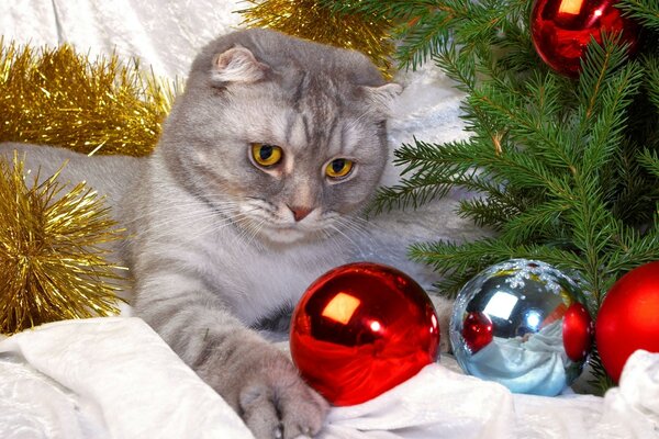 Gato jugando con la bola de Navidad de vacaciones