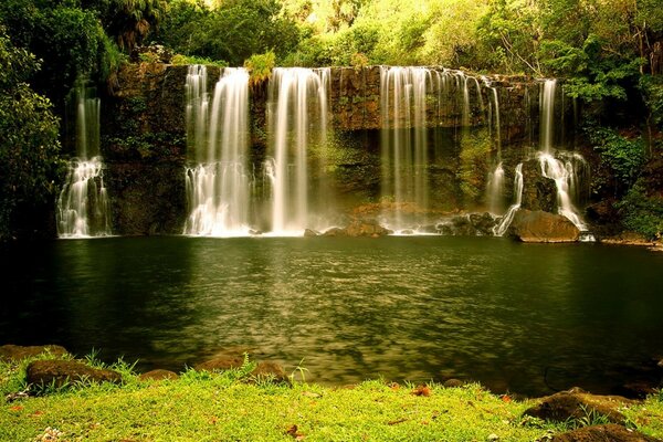 Schöner Wasserfall inmitten des Waldes