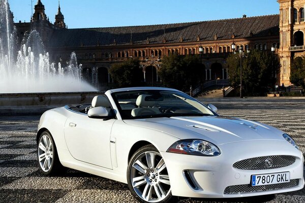 White car on a gorgeous background