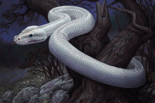 A white creeping snake is preparing to attack