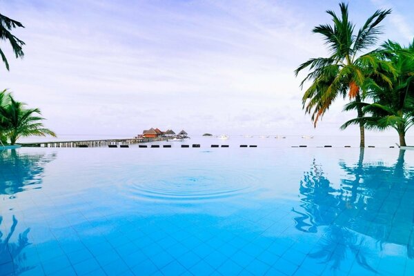 A tropical resort with a swimming pool on the background of the ocean