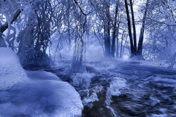 森林中融雪的春天景观