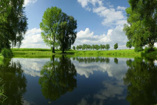 Unusually bright greenery of grass and trees reflected in the water