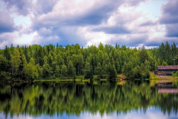 Die Reflexion eines schönen Waldes im Wasser