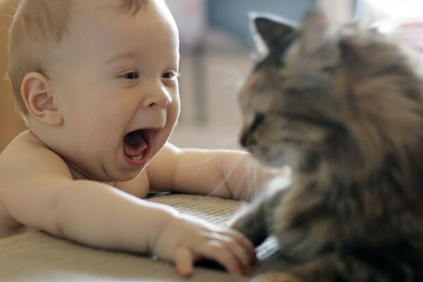 A small child plays with a cat