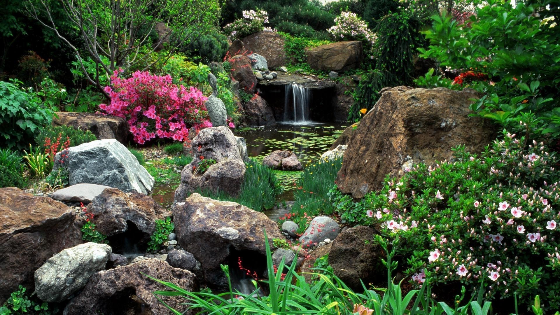 gardens flower stone nature garden leaf flora outdoors summer rock landscape wood park tree rhododendron grass