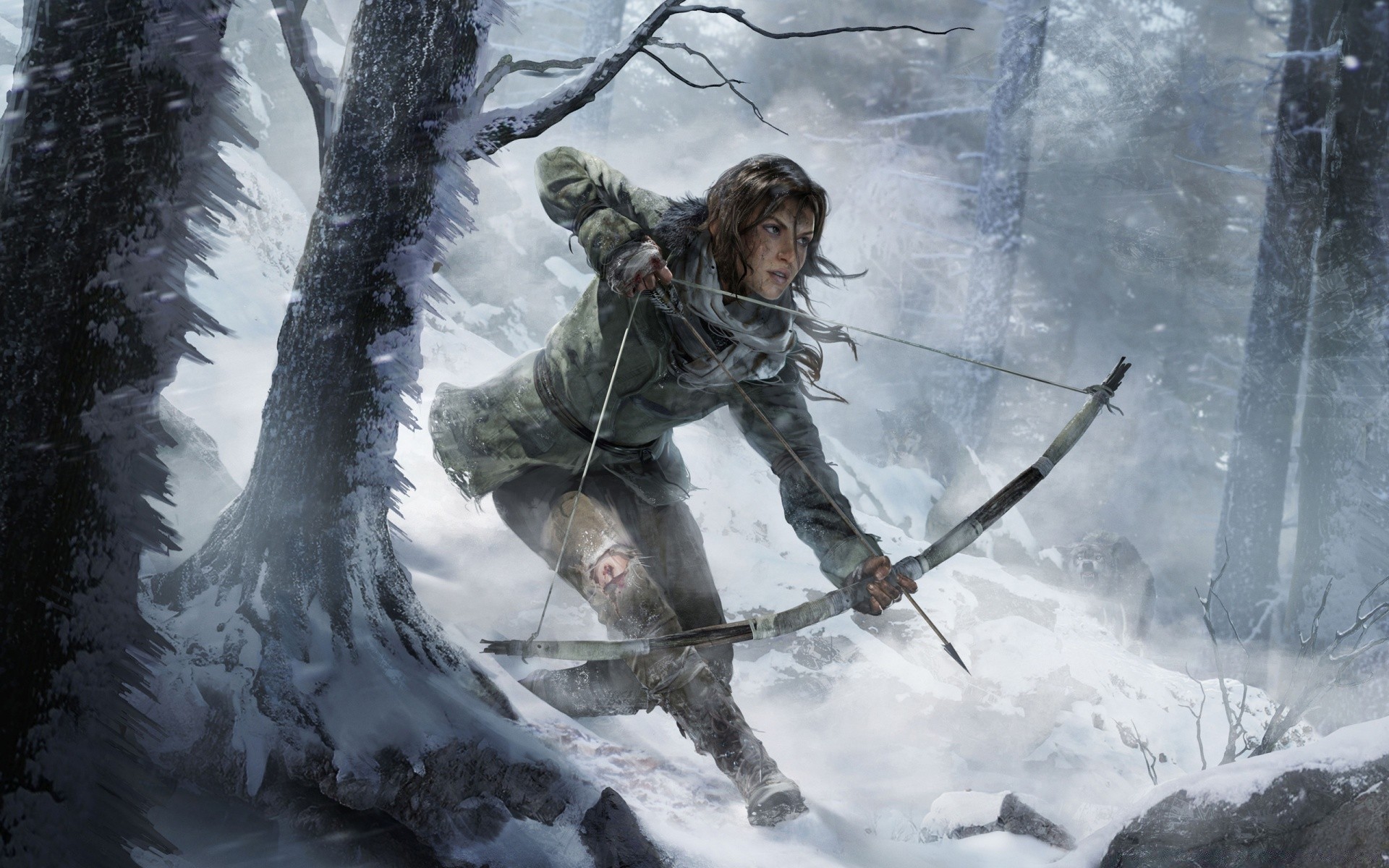 tomb raider neige hiver froid glace unique gel à l extérieur loisirs congelés bois adulte