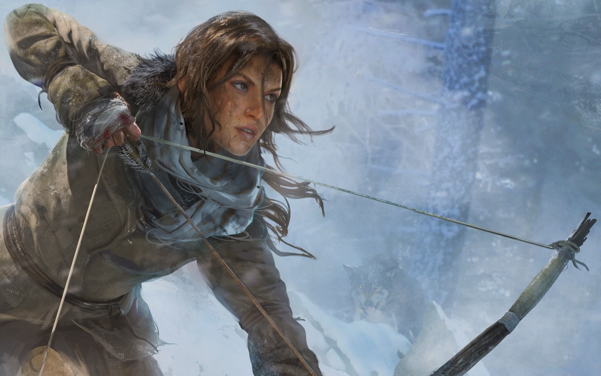 tomb raider зима холодна сніг один на відкритому повітрі дорослий зброя природа носити відпочинок