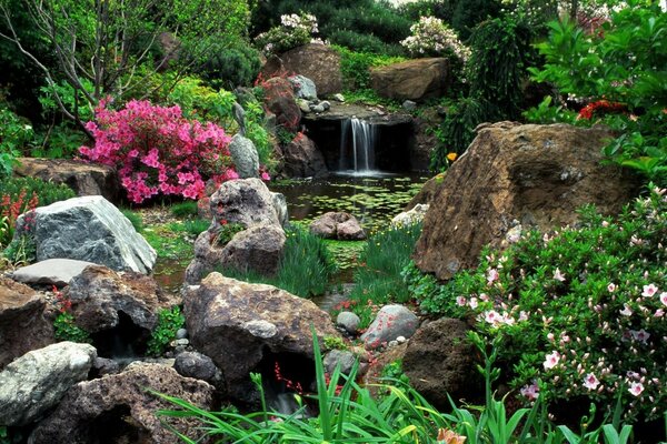 Schöne Aussicht auf die Natur. Fluss und Blumen auf Steinen