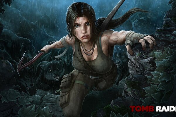 Image from the tomb raider computer game