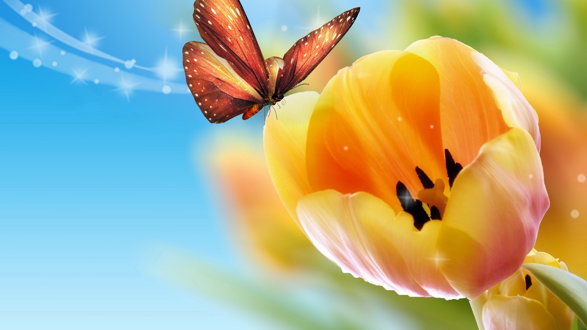 насекомые природа цветок флора лето яркий сад лист цвет крупным планом красивые цветочные тюльпан лепесток
