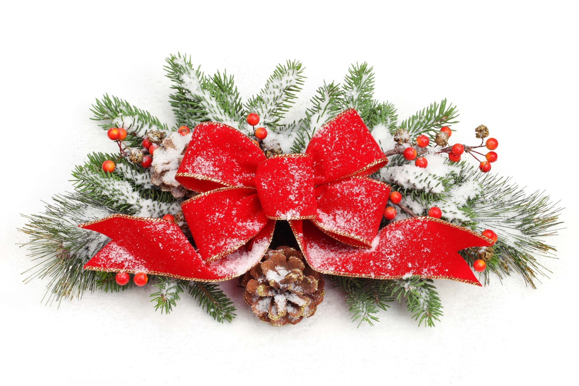 nouvel an noël hiver décoration vacances arbre merry sapin houx pin brille épinette evergreen fil saison cadeau eva boule branche isolé