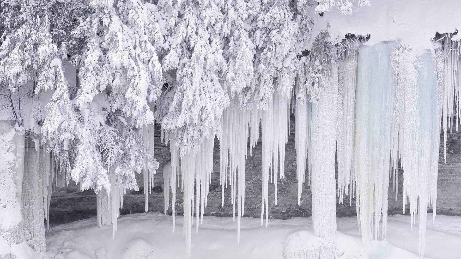 winter icicle snow frozen frost ice icy cold tree season frosty landscape weather wood nature park travel water