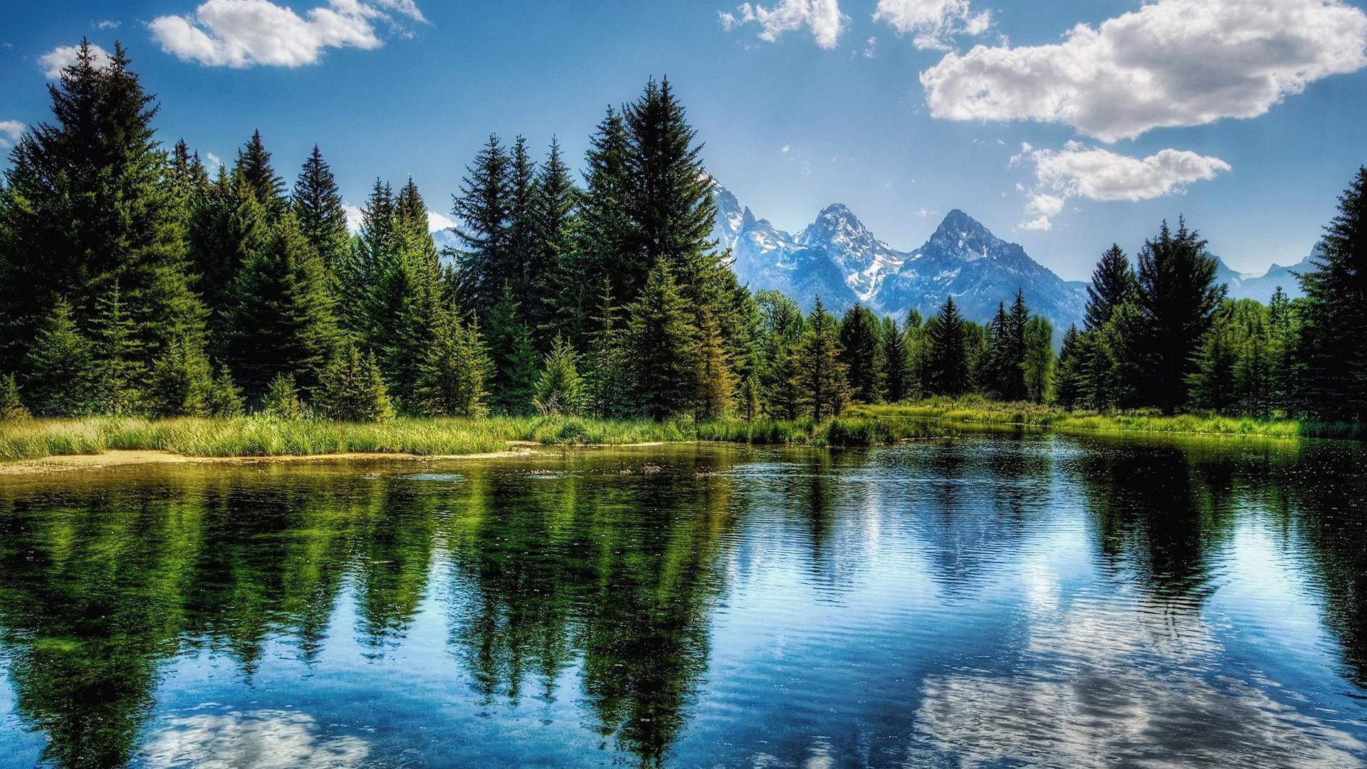 lago riflessione acqua natura all aperto legno paesaggio freddezza albero estate cielo scenico