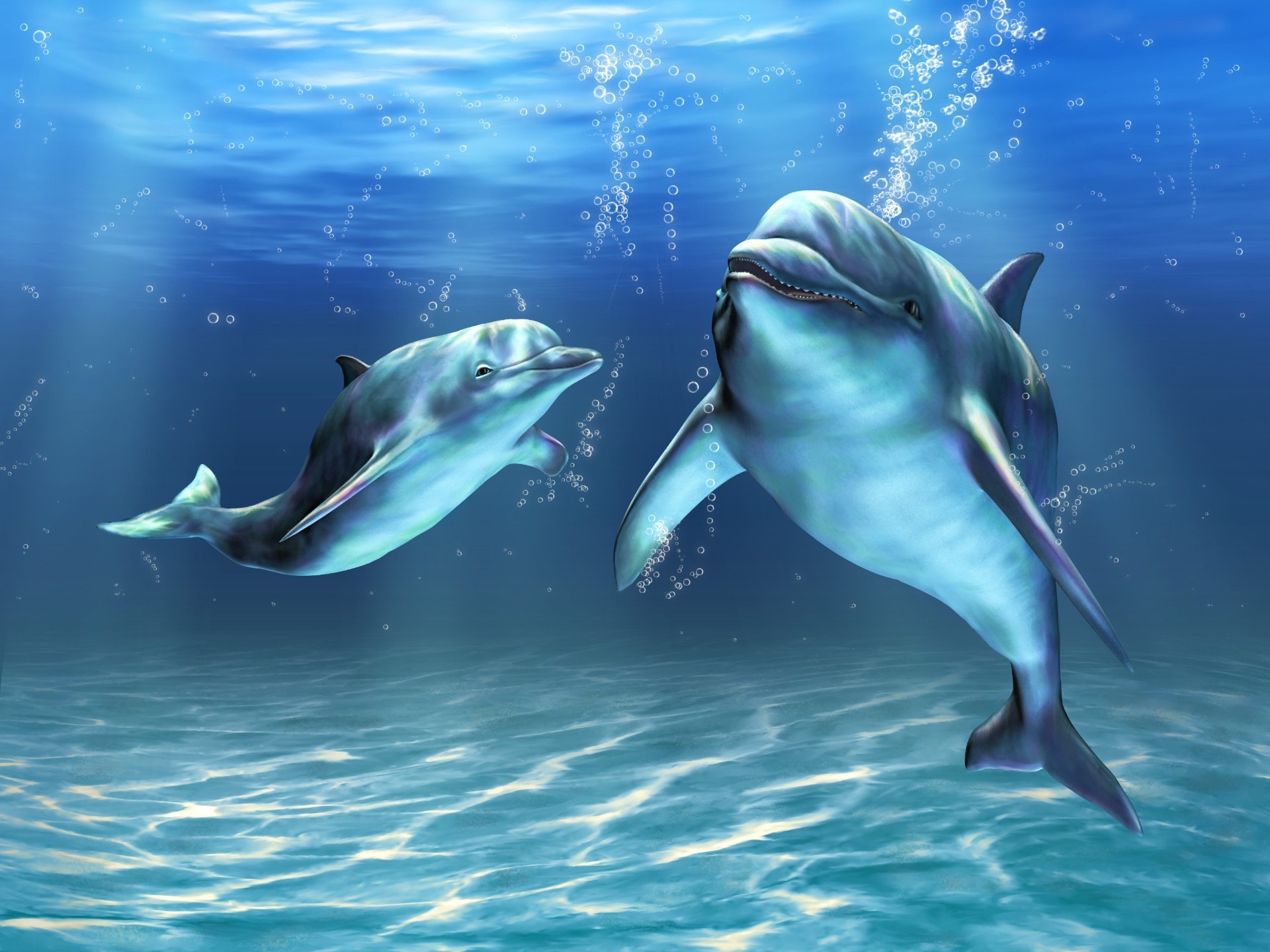 дельфин подводный рыбы плавание воды дайвинг океан шарк воздуходувки кит аквариум дикой природы снорклинг коралловый море