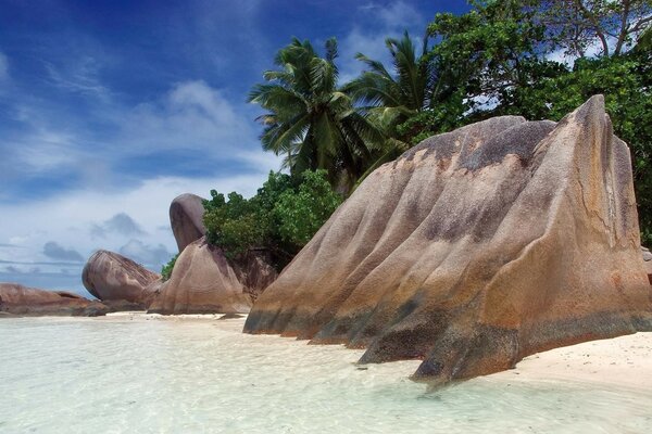 White sand on the ocean