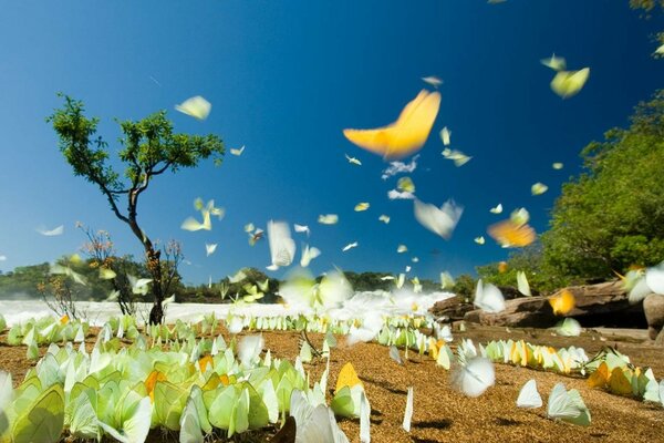 Landscape with a tree and lots of butterflies