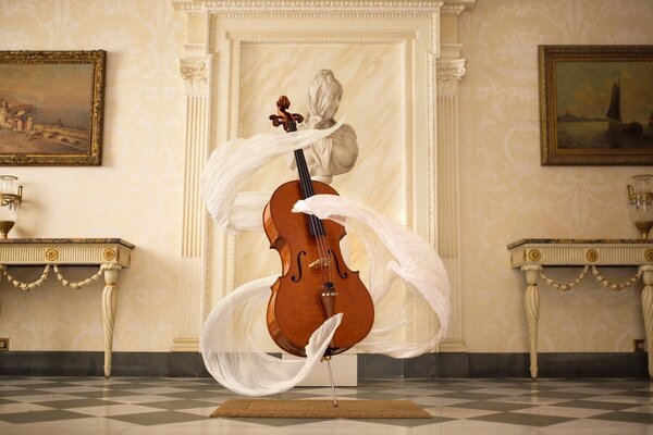 A quenching cello plays alone by itself in a hotel room