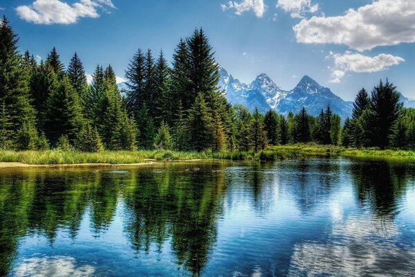 Hermoso lago en las montañas rodeado de abetos