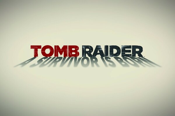 Screensaver for the tomb raider computer game