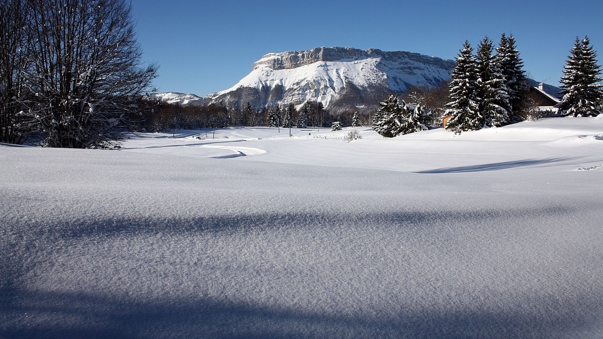 invierno nieve frío paisaje hielo congelado montañas escarcha escénico árbol clima escarchado