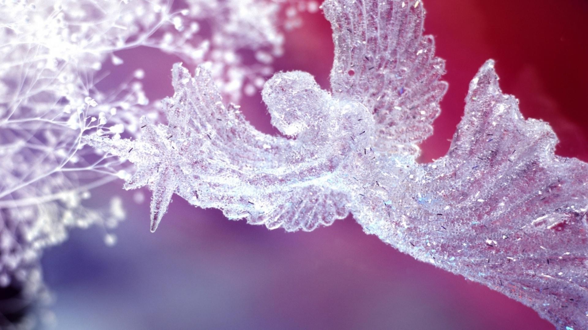 engel natur frost winter jahreszeit flora desktop schnee schließen blume kristall farbe im freien hell kälte weihnachten