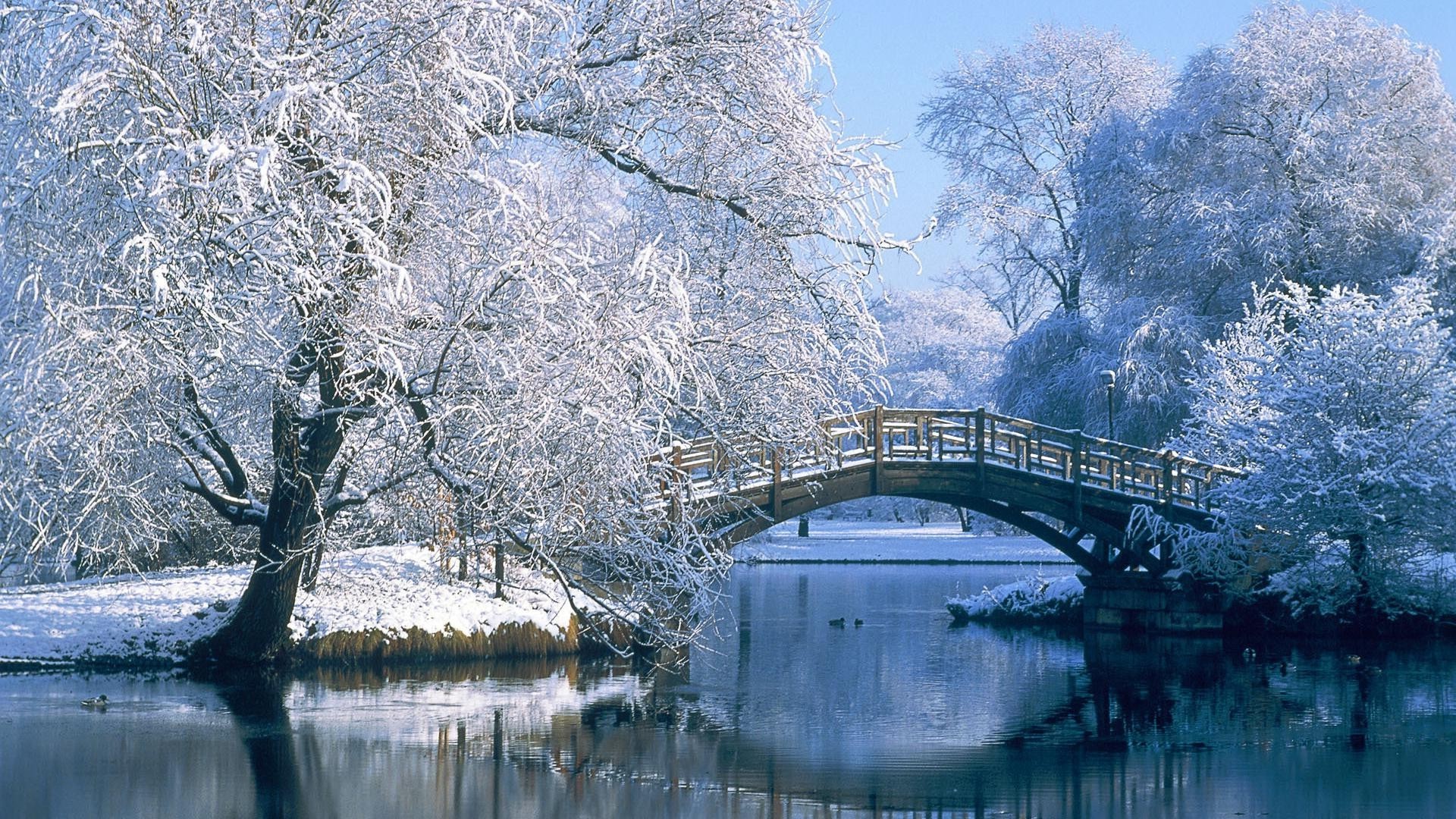 hiver neige arbre eau gel froid nature glace paysage bois congelé réflexion à l extérieur pont voyage parc