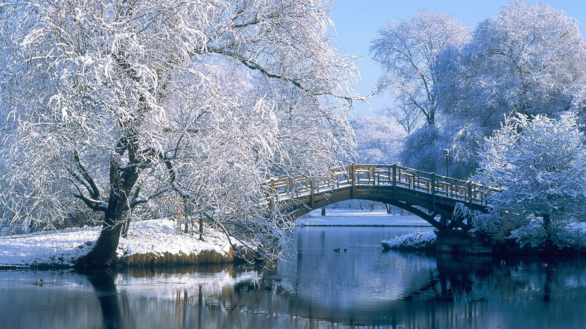 зима снег дерево воды мороз холодная природа лед пейзаж древесины замороженные отражение на открытом воздухе мост путешествия парк