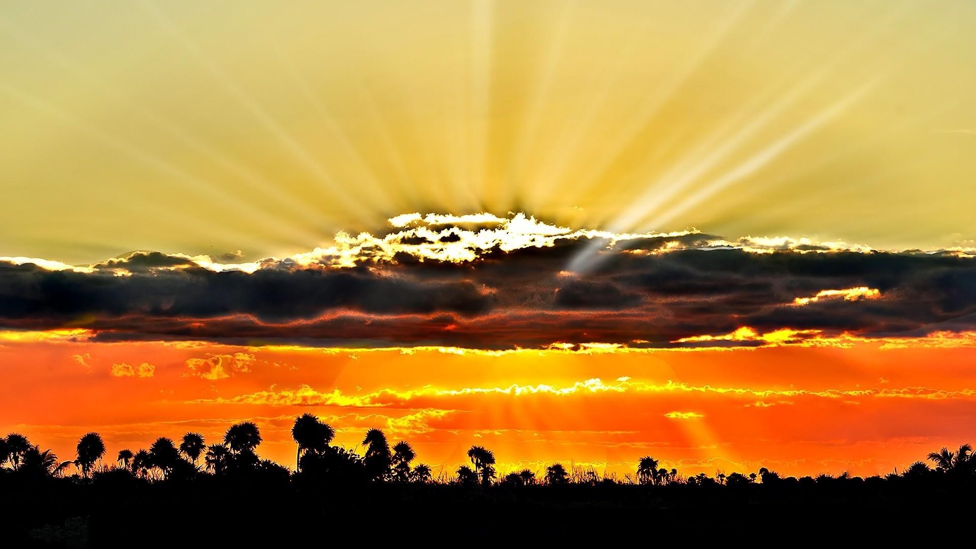 coucher de soleil et aube coucher de soleil soleil aube ciel silhouette nature soir paysage beau temps or lumineux été crépuscule luminescence lumière