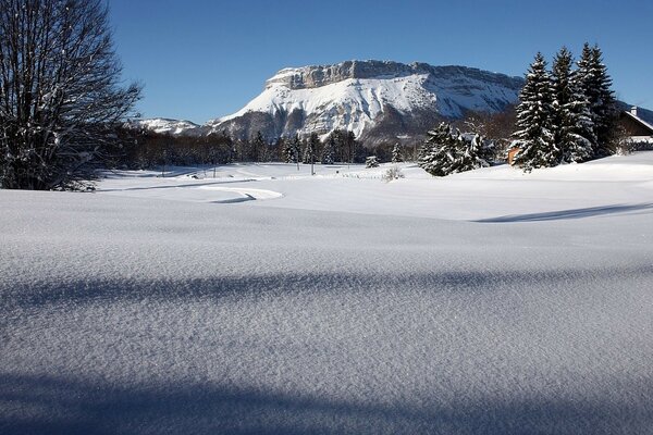 Surface enneigée sur fond de forêt et de montagnes