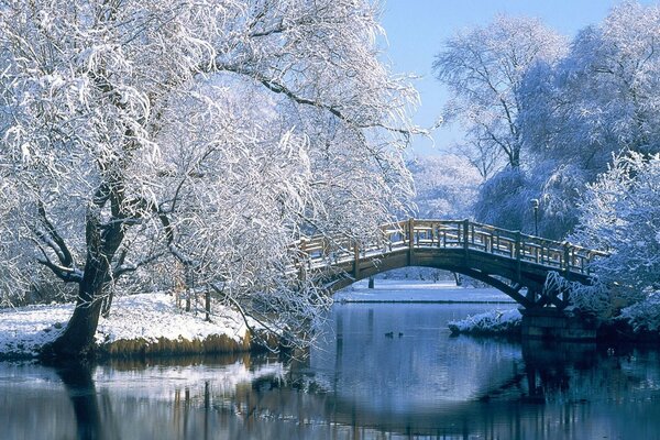 Hermoso puente sobre el agua en invierno