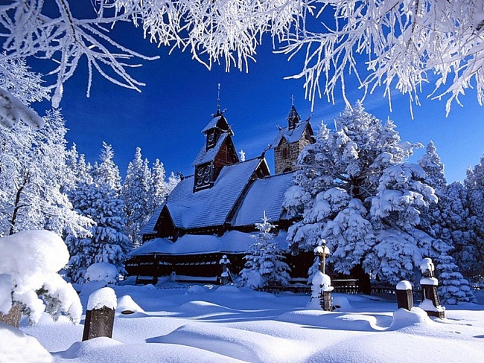 winter snow cold frost wood ice tree frozen season christmas mountain frosty fir scenic snowy snow-white landscape weather