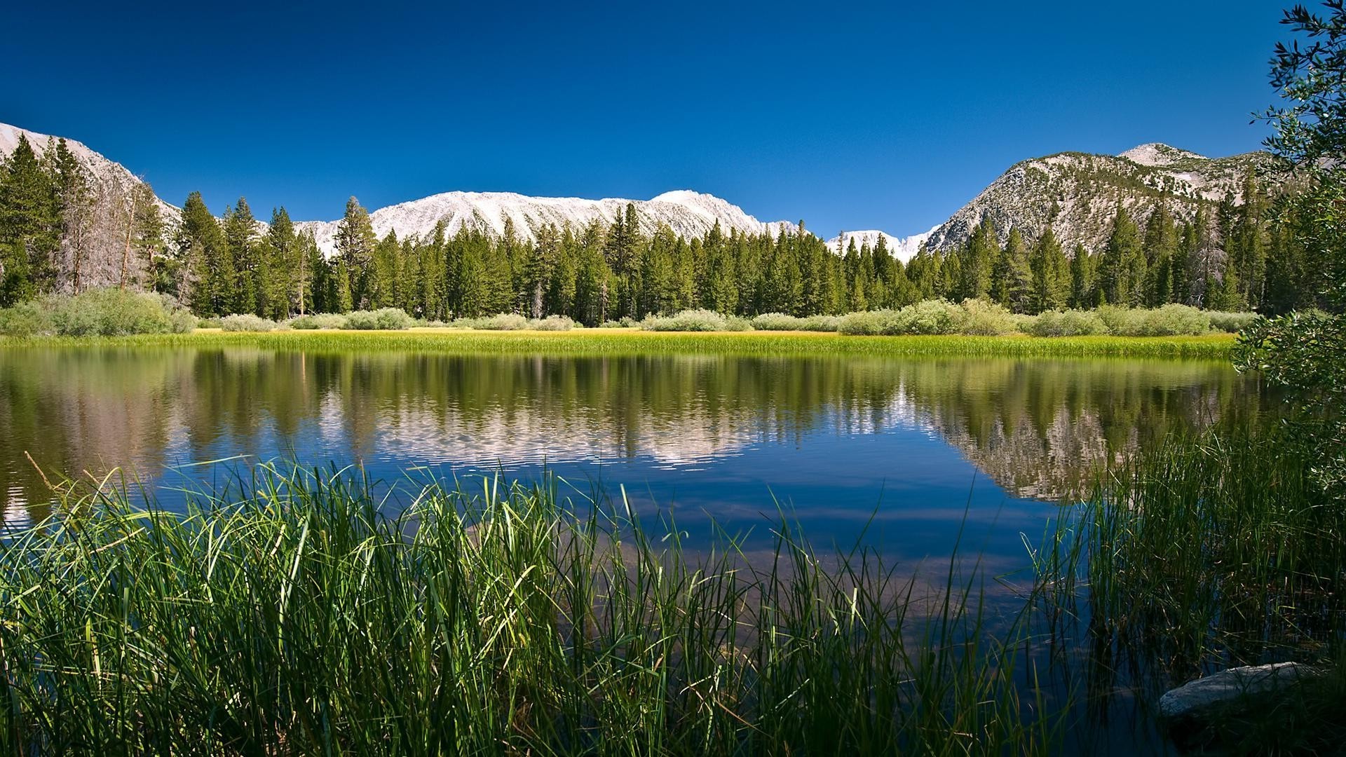 lac eau nature en plein air réflexion paysage voyage scénique ciel montagnes herbe bois rivière été lumière du jour