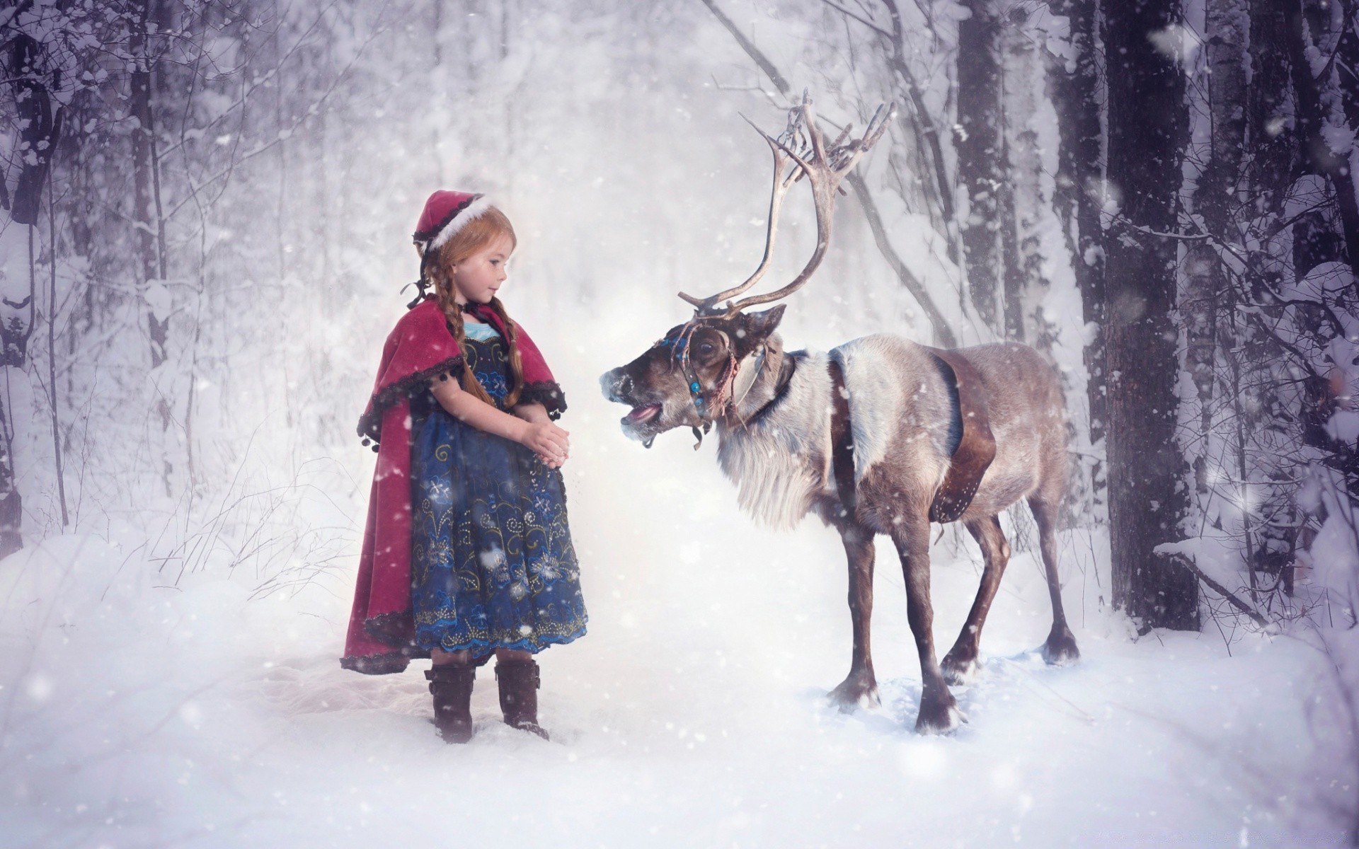 navidad nieve invierno frío niño solo hielo escarcha adulto mamífero desgaste