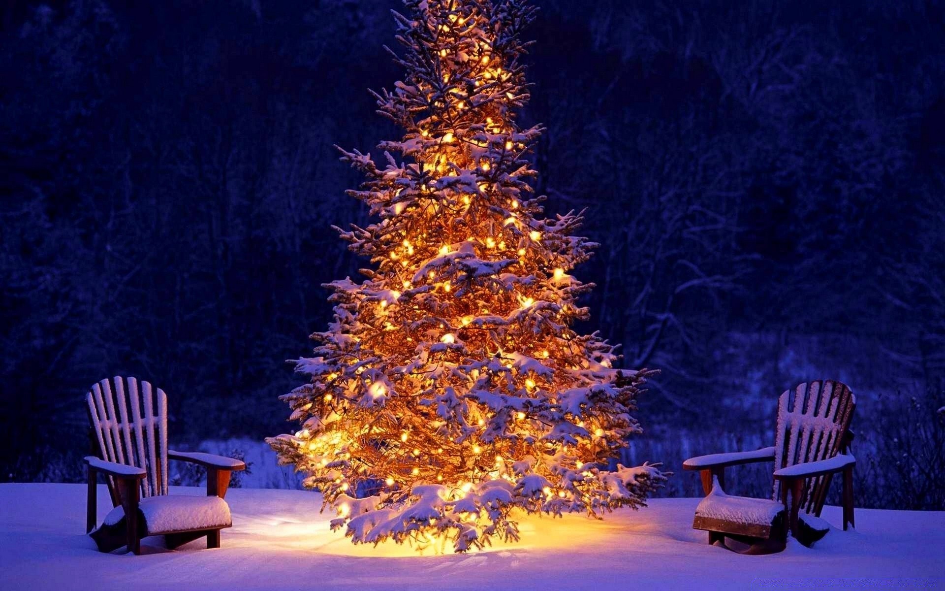 navidad silla banco asiento madera al aire libre invierno árbol noche nieve viajes relajación