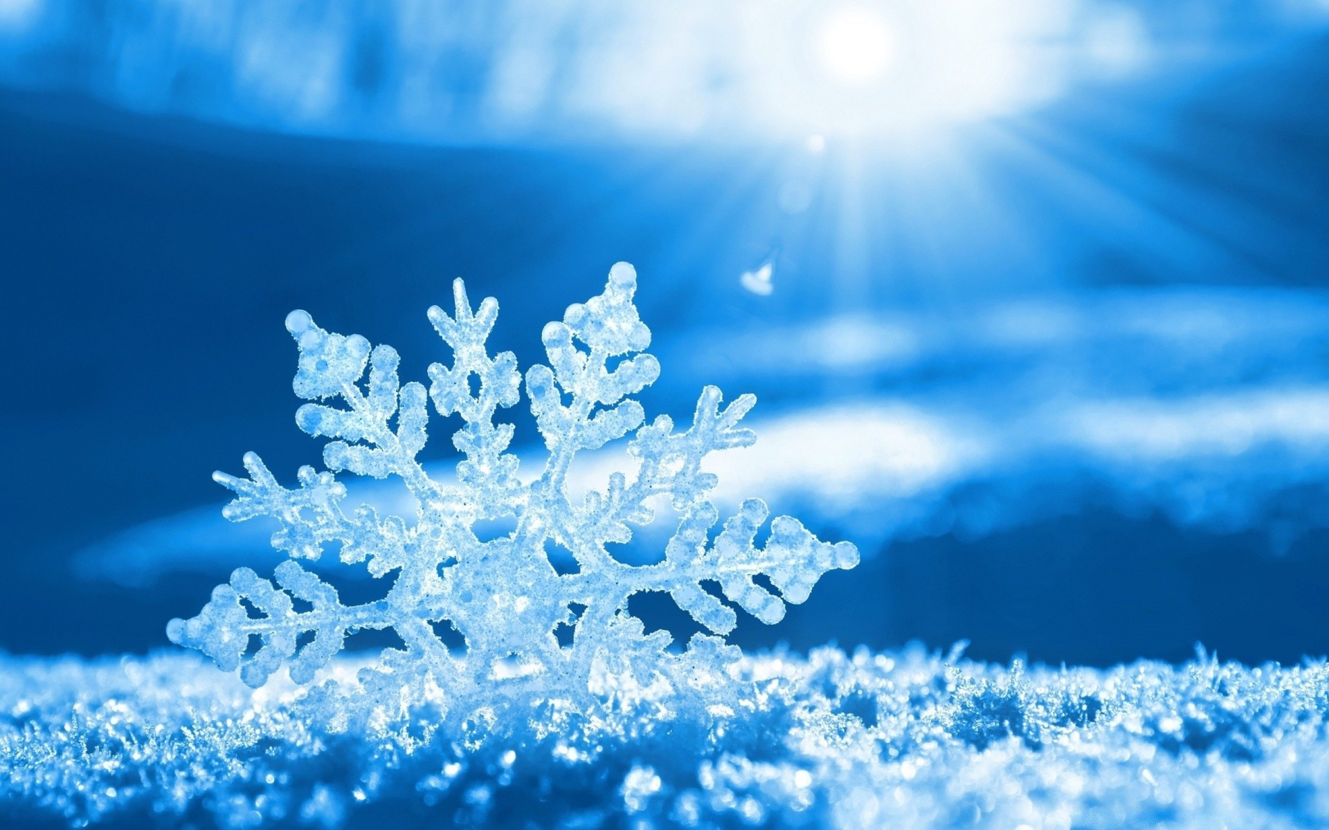 navidad nieve invierno escarcha frío congelado hielo copo de nieve temporada naturaleza escritorio helada tiempo brillante árbol helado al aire libre