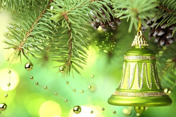 A green bell on a fir tree branch